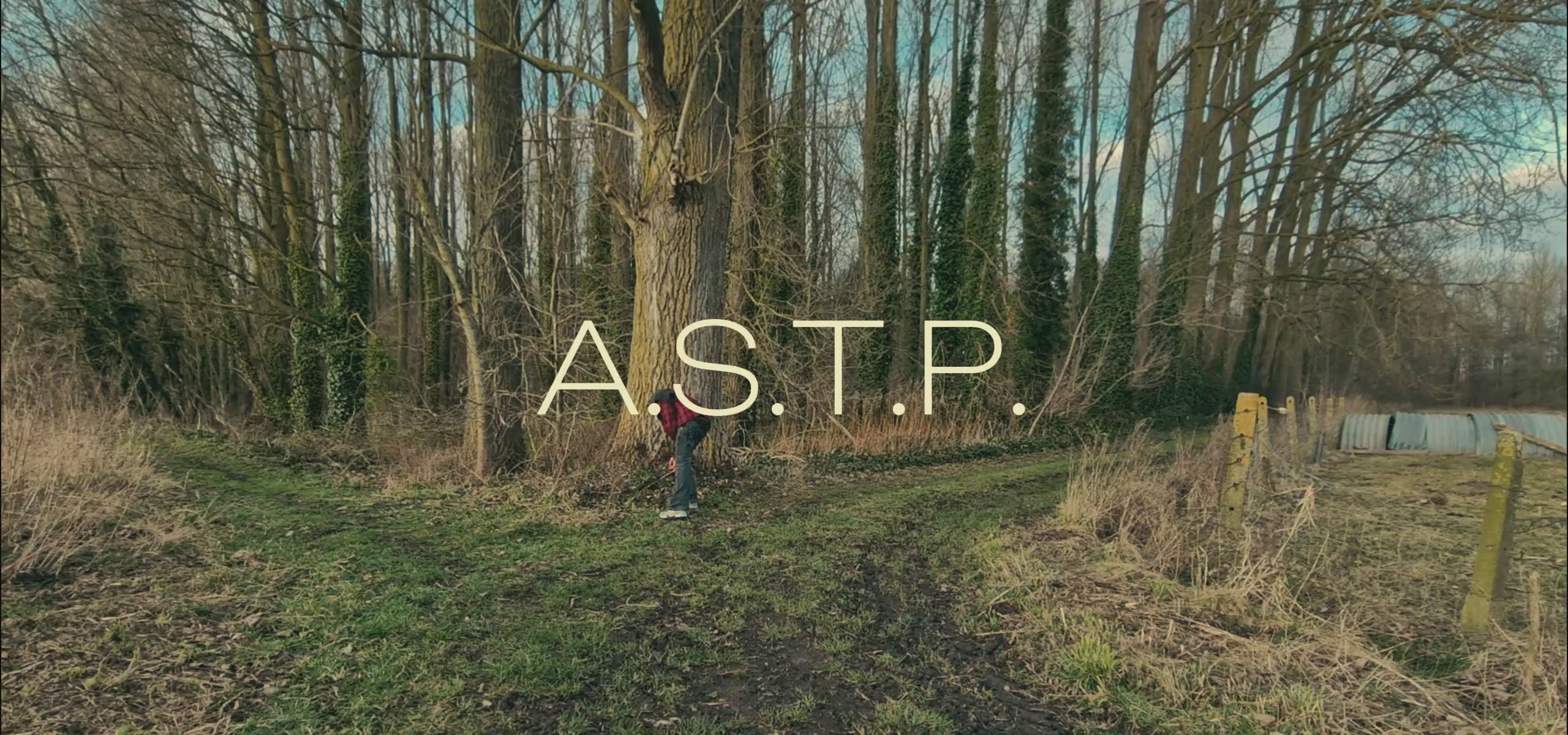Load video: 